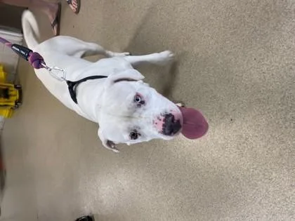 Patricia thumbnail 2