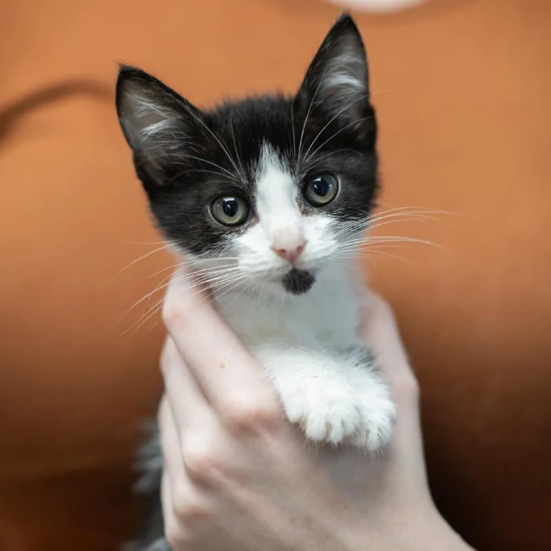 Benny