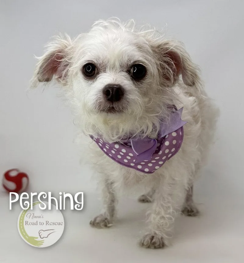 Pershing