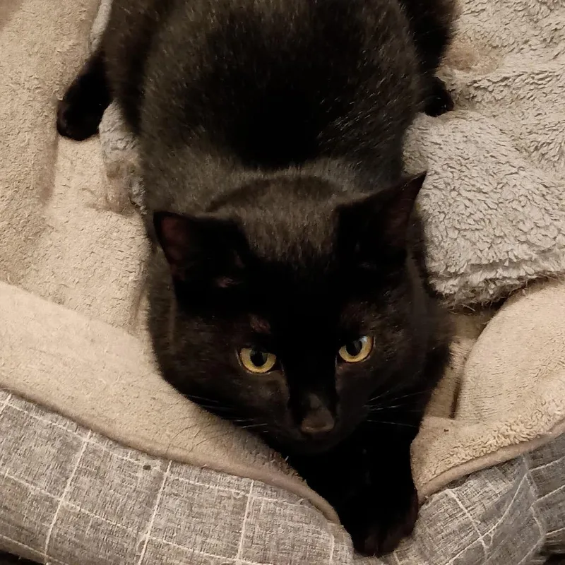 Lost  Buddy thumbnail 2