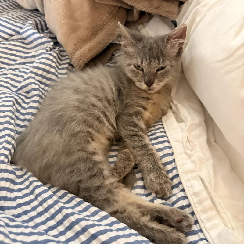 Georgina thumbnail 2