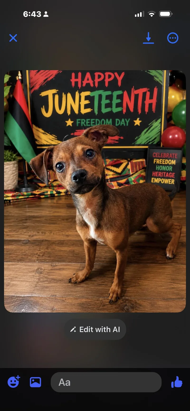 A baby small-sized male Chihuahua dog named Gru for adoption in Fosters, AL