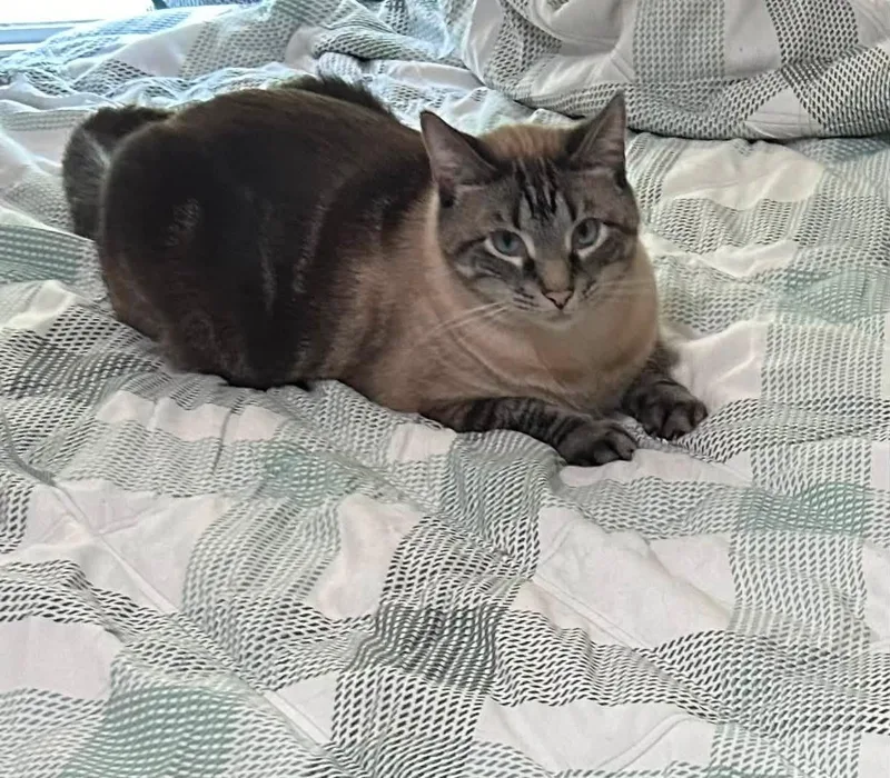 Toby and Momma thumbnail 2