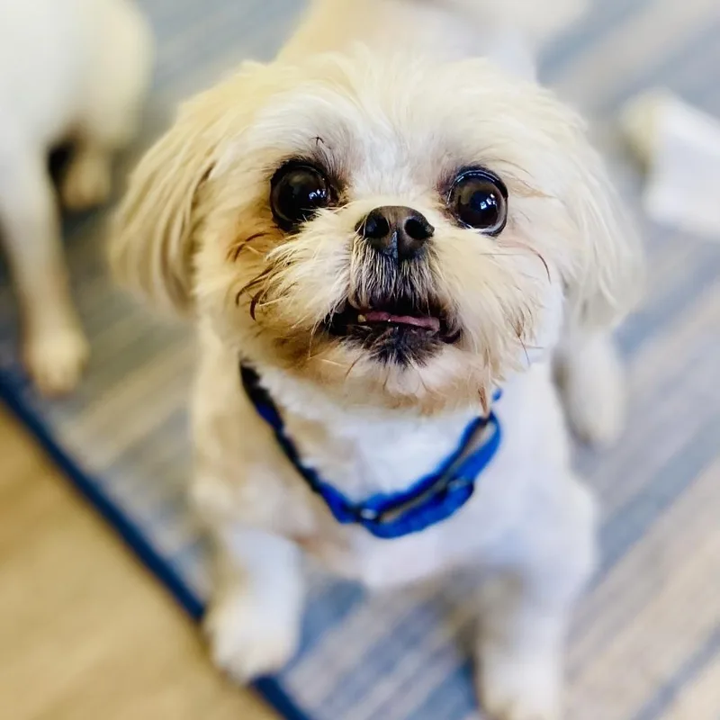 Darla thumbnail 2