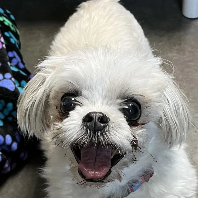 Darla thumbnail 3
