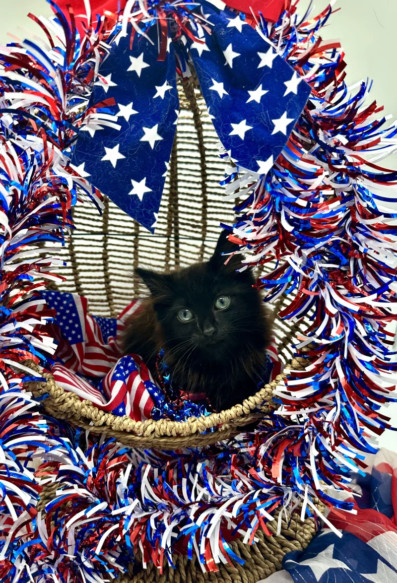 Ella