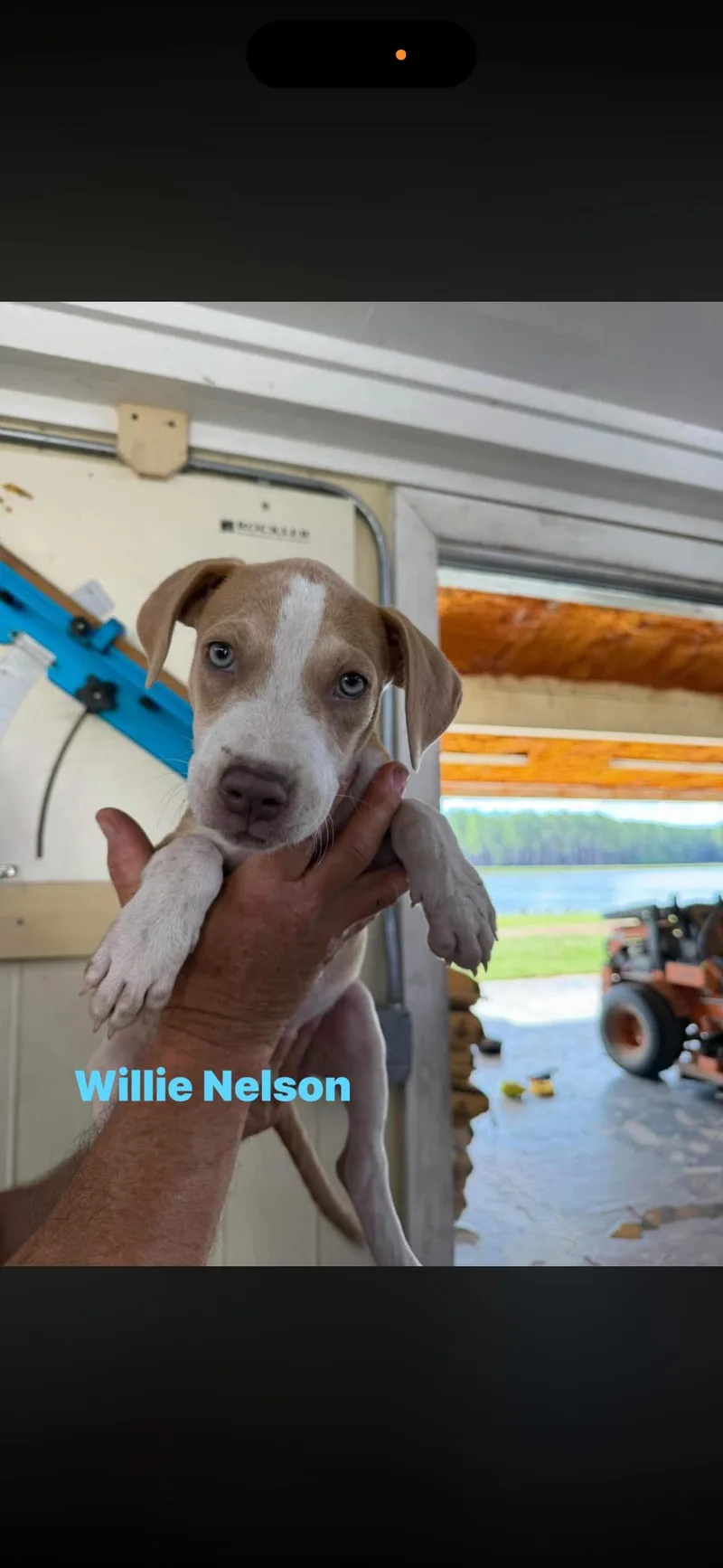Johnny Cash  Willie thumbnail 2