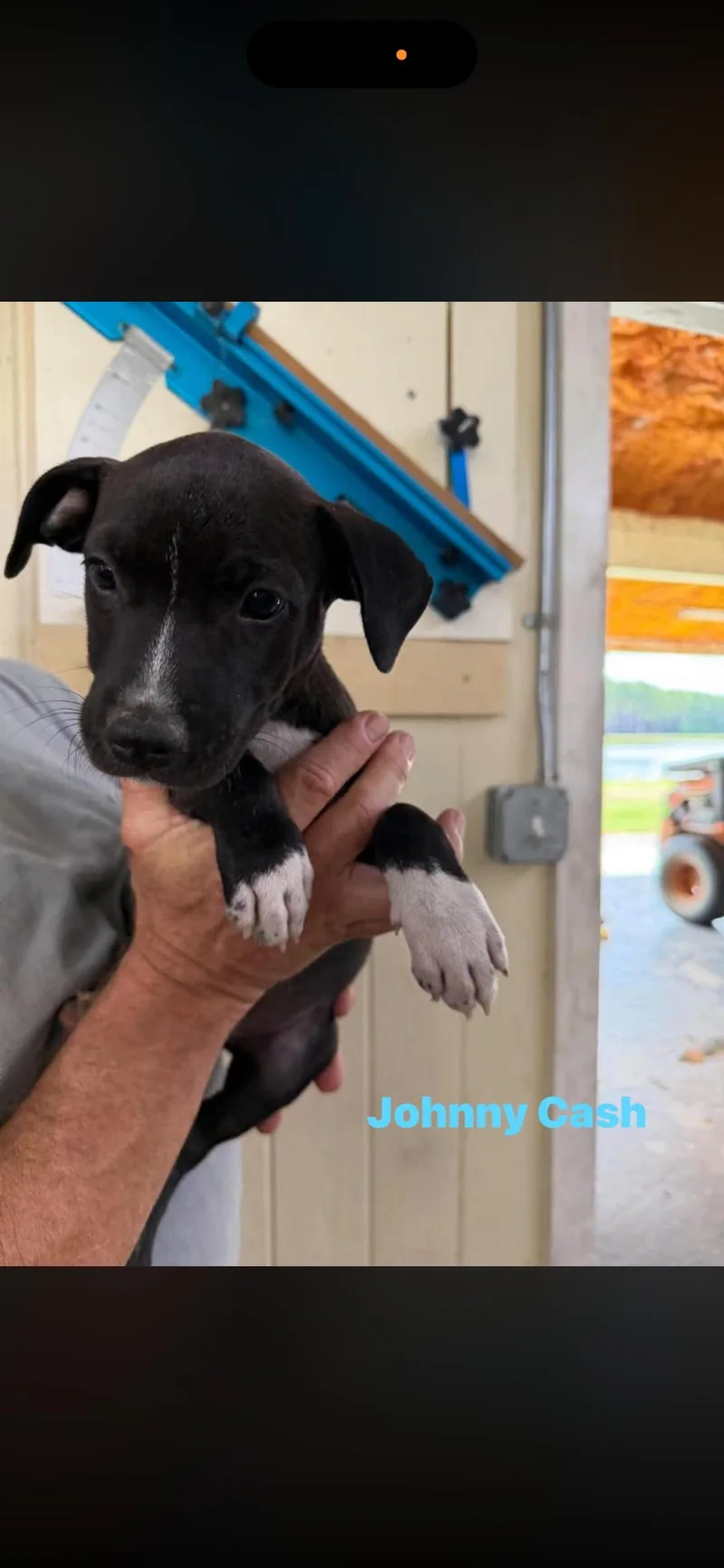 Johnny Cash  Willie thumbnail 3