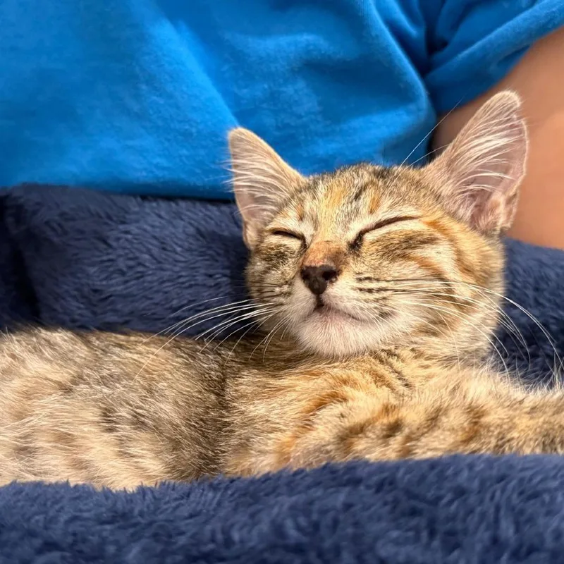 Baby Kit thumbnail 2