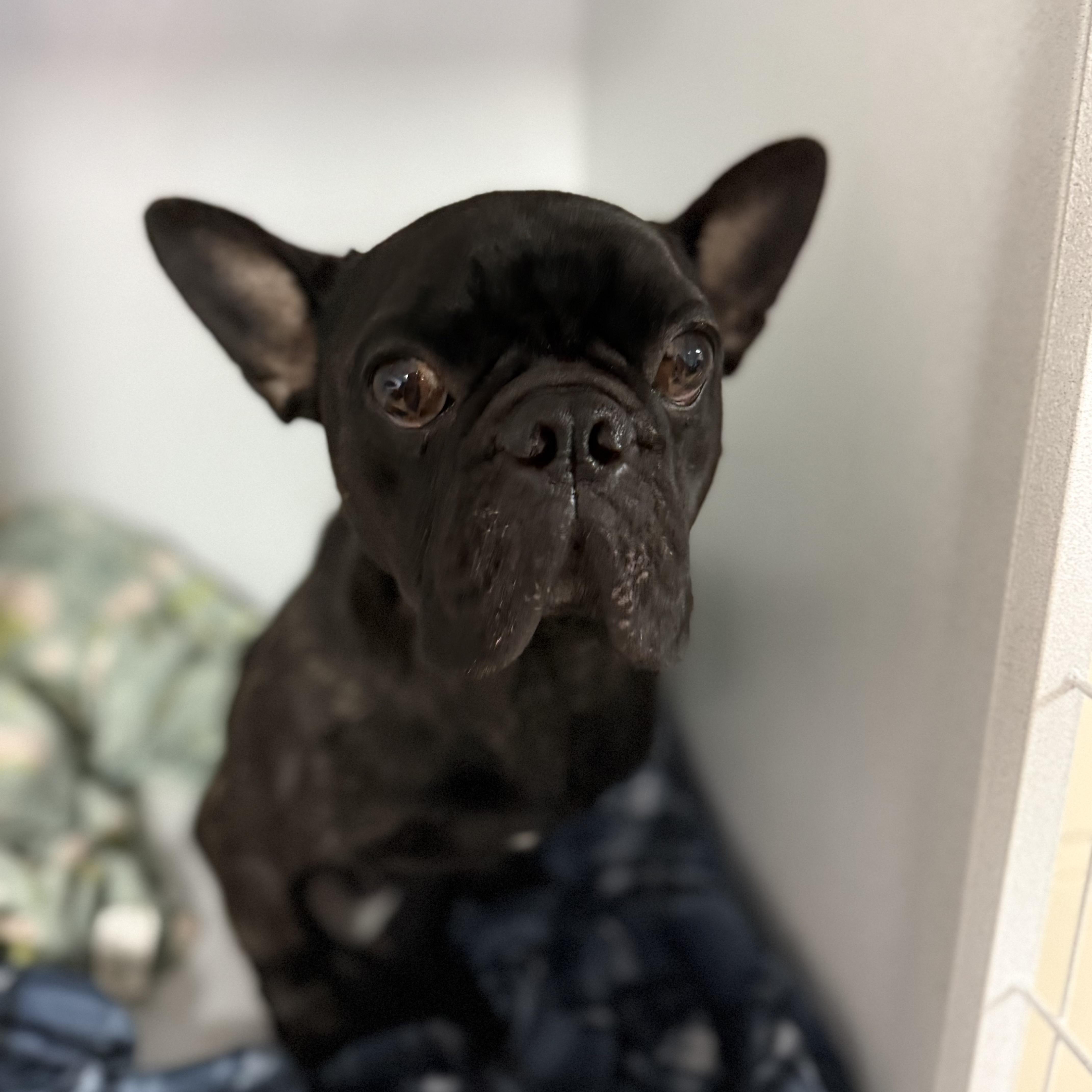 Ferguson thumbnail 3