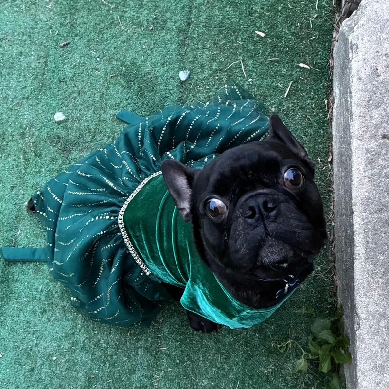 Ferguson thumbnail 4