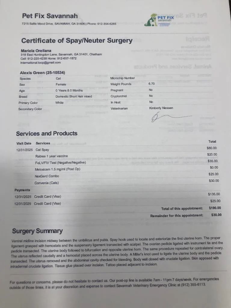 Soy Milk thumbnail 2