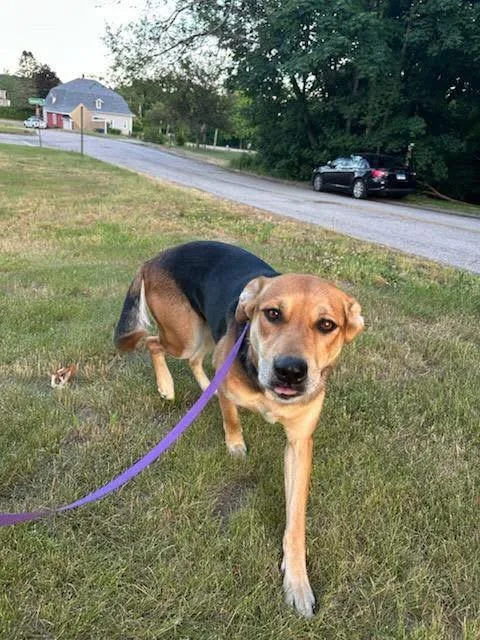 Shadow thumbnail 6