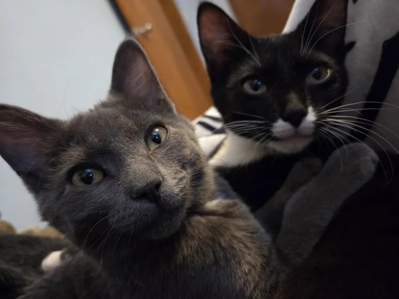 Yoonchae thumbnail 2