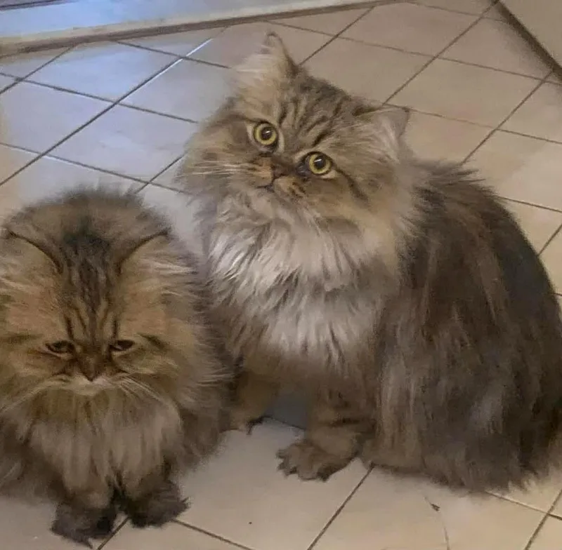 Mama Greta & Son thumbnail 2