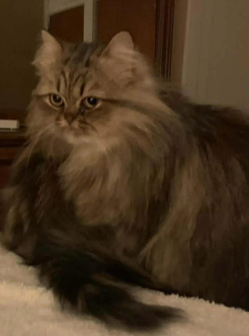 Mama Greta & Son thumbnail 3