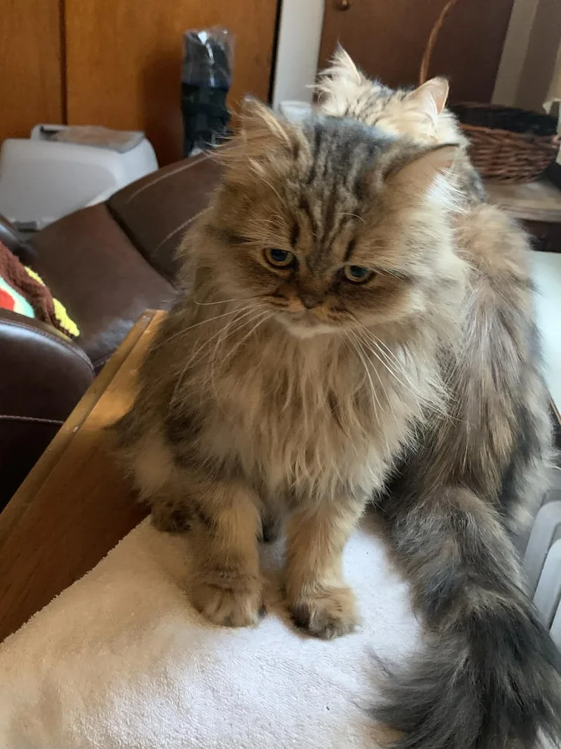 Mama Greta & Son thumbnail 4