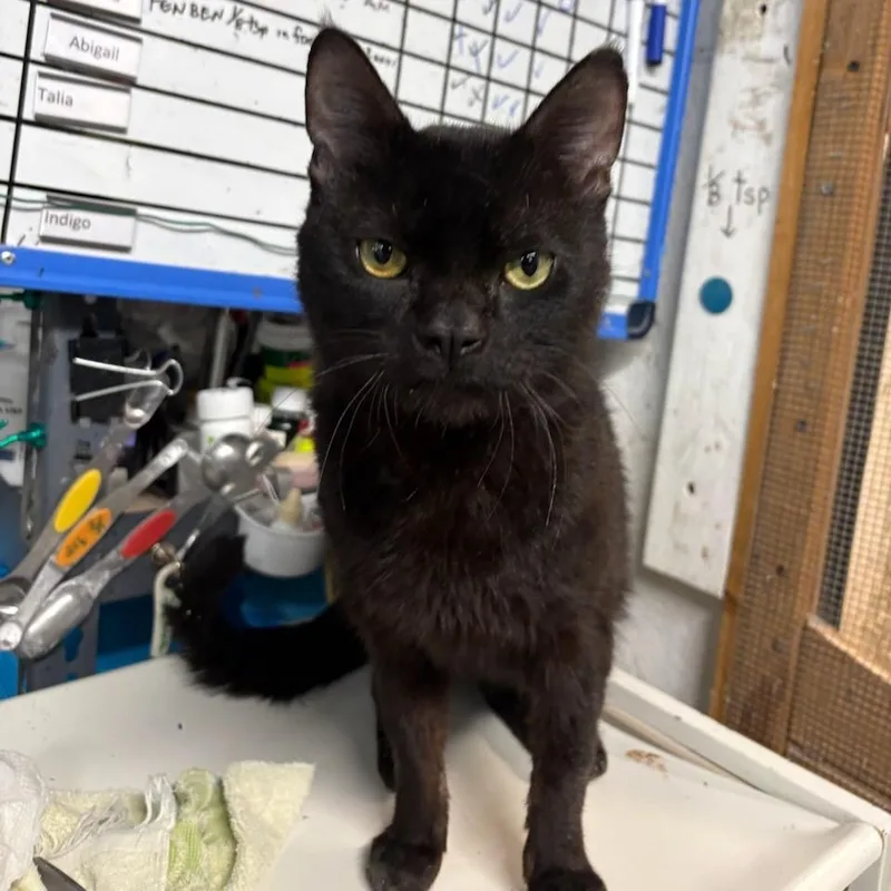 Montgomery N.   thumbnail 2