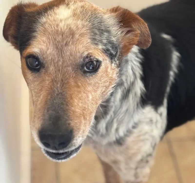 Schuyler thumbnail 2