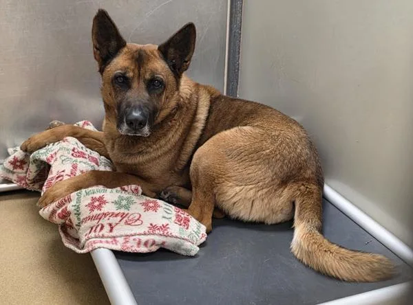 Walterini thumbnail 2