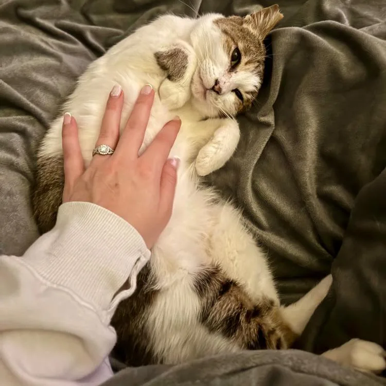 Meredith Robare thumbnail 4