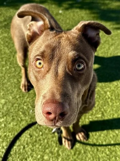 Einstein thumbnail 2