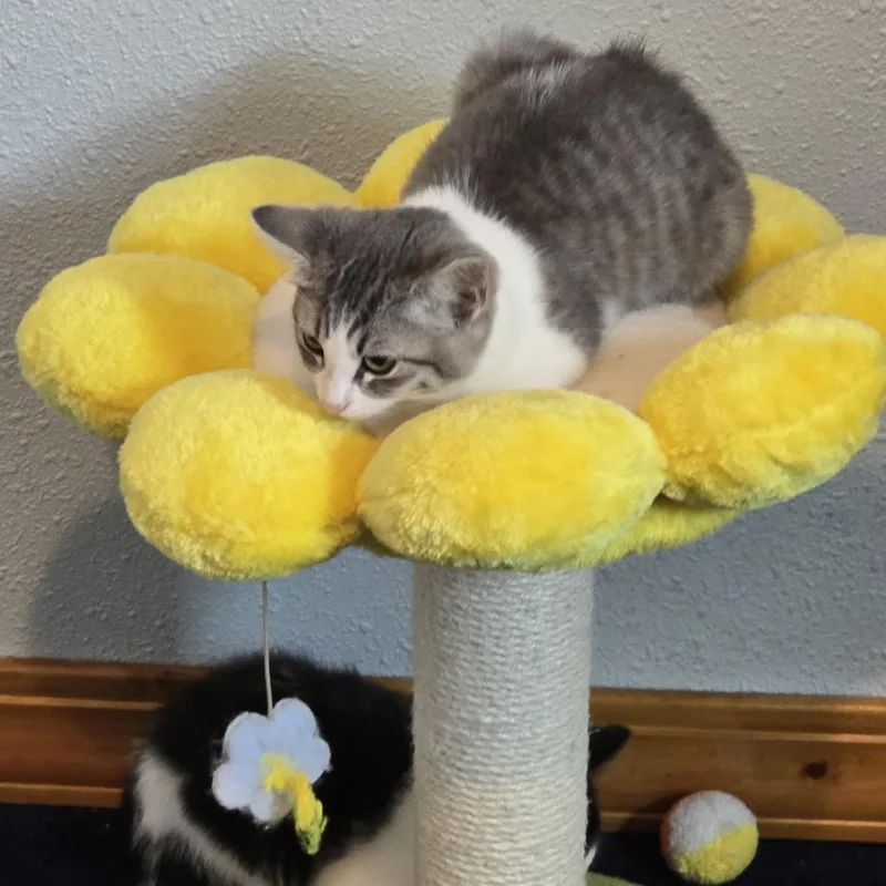 Precious