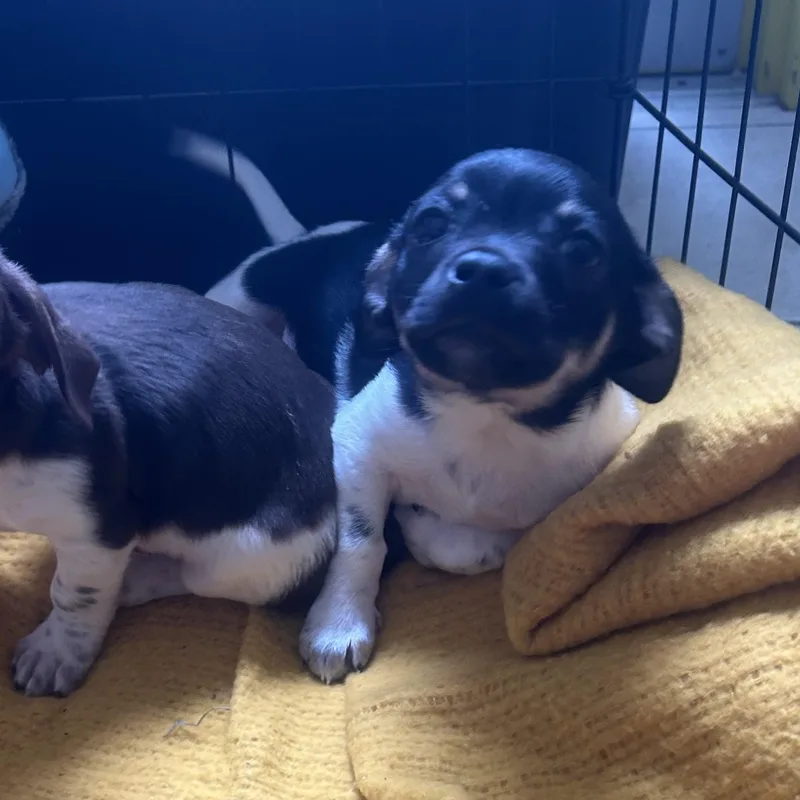 Shoprite thumbnail 2