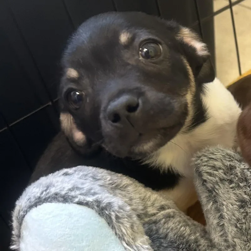 Shoprite thumbnail 5