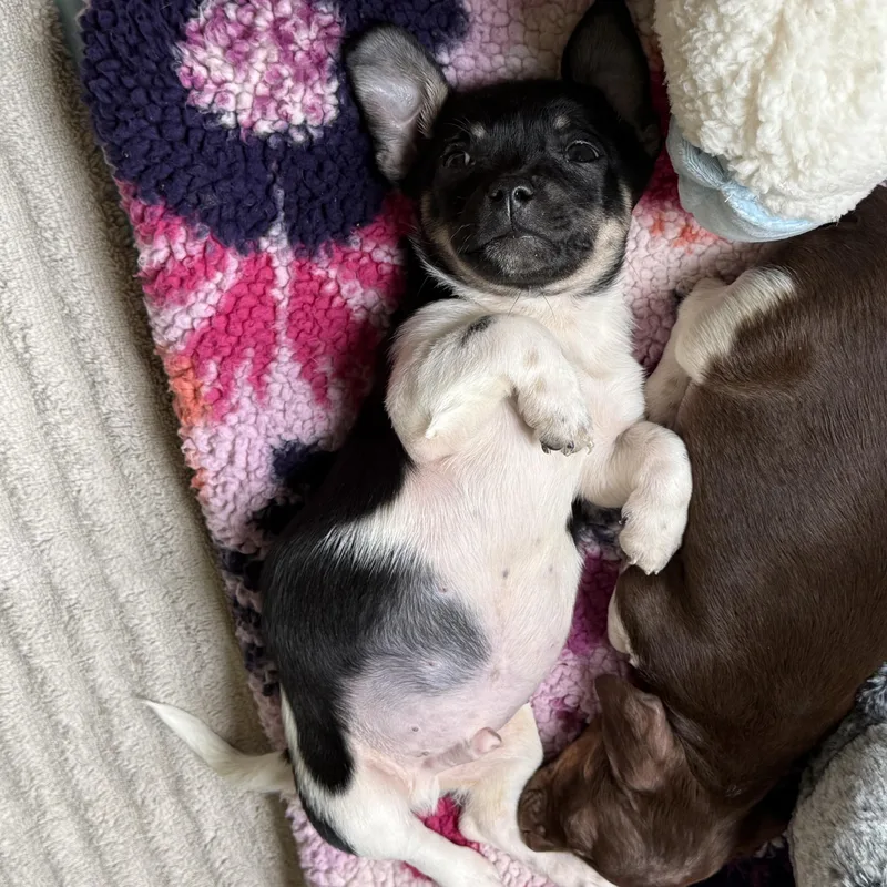 Shoprite thumbnail 6