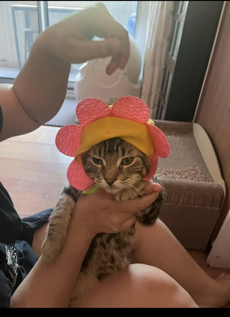 Milo G the most thumbnail 5