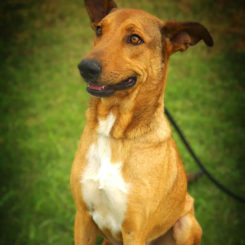 Aries Jum thumbnail 4