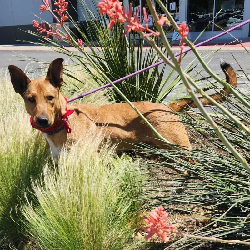 Aries Jum thumbnail 5