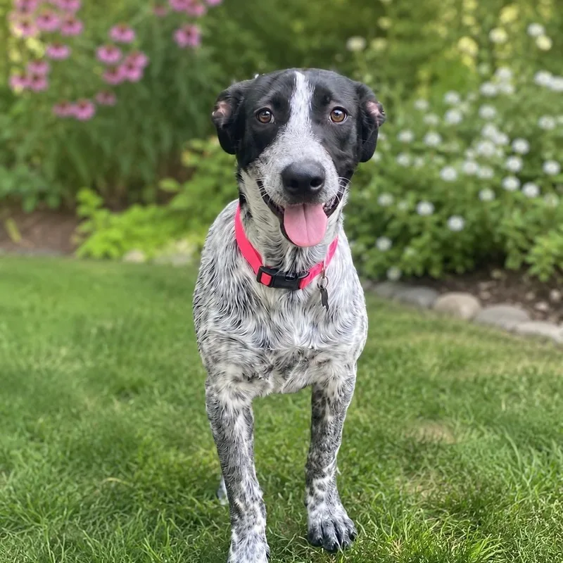 Blossom