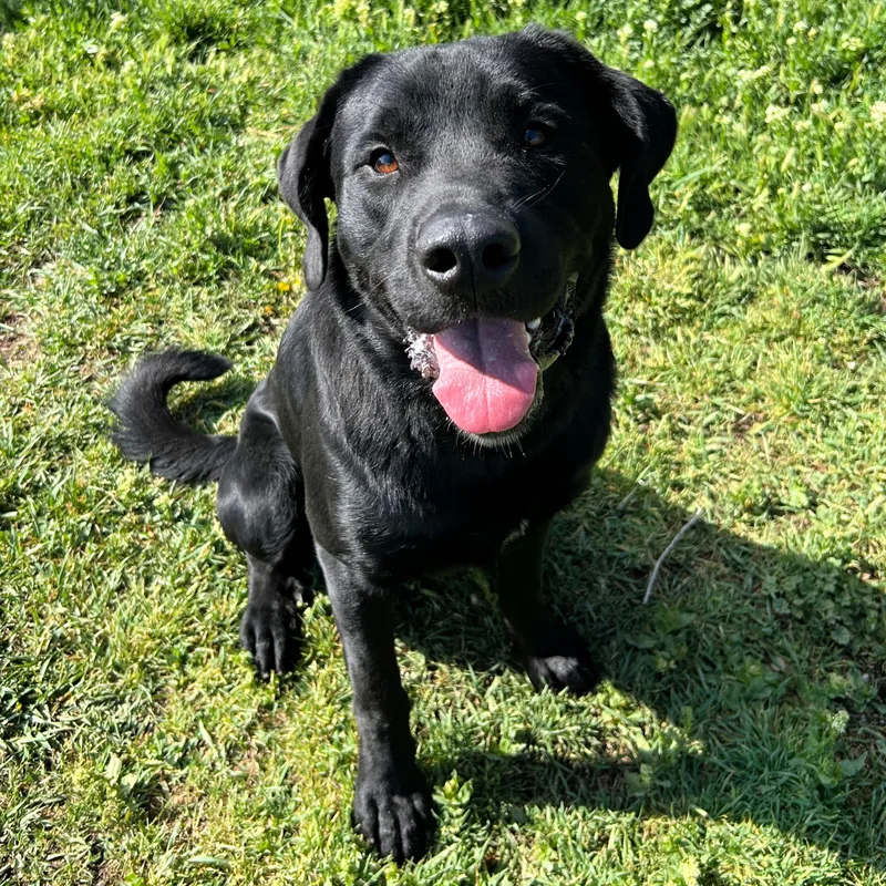 Zeus