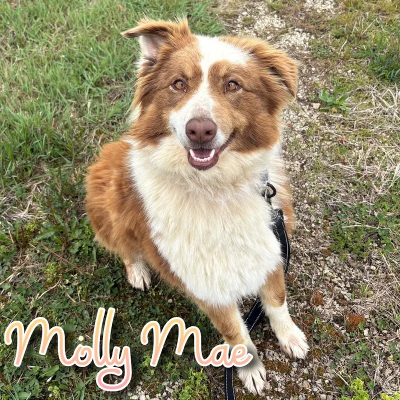 Molly Mae thumbnail 2