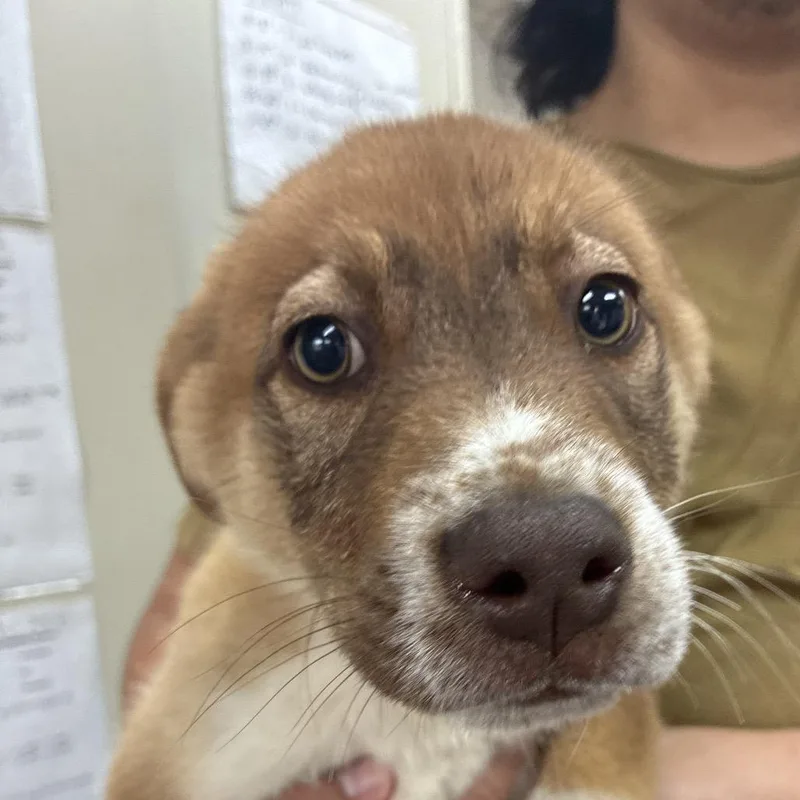 Ny Sam Elliot Avail thumbnail 2