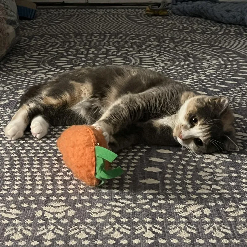 Arya Stark thumbnail 2