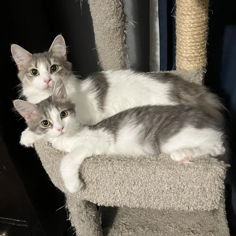 Scrub Mommy thumbnail 3