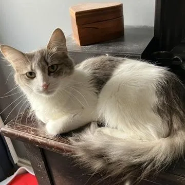 Scrub Mommy thumbnail 4