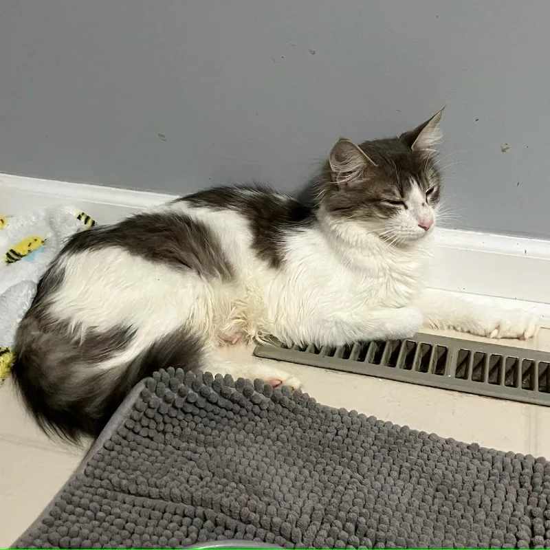 Scrub Mommy thumbnail 5