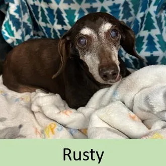 Rusty thumbnail 2