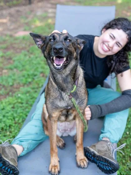 An adult large-sized female Mixed Breed dog named Bubbly for adoption in Chamblee, GA
