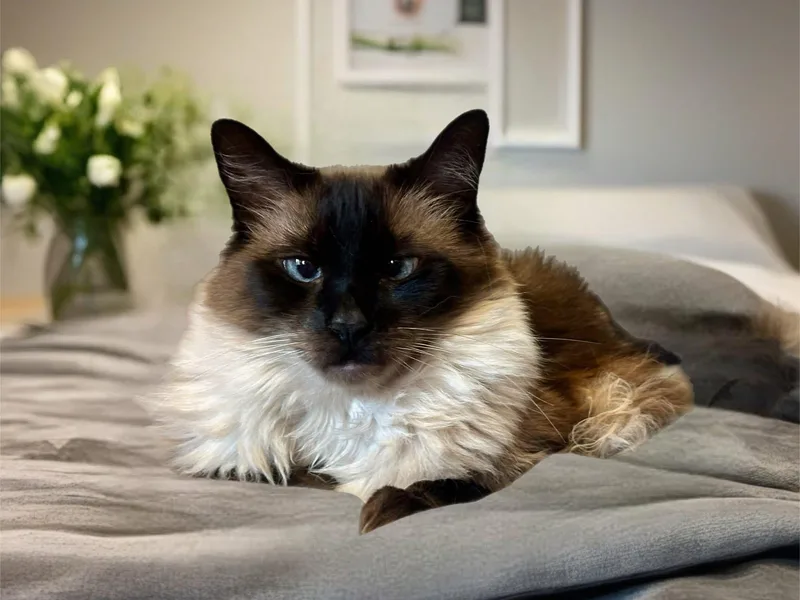 Malie And Ziva thumbnail 6