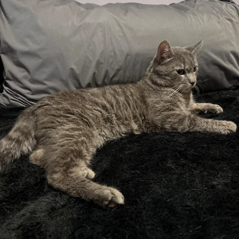 Buddy Guy thumbnail 4