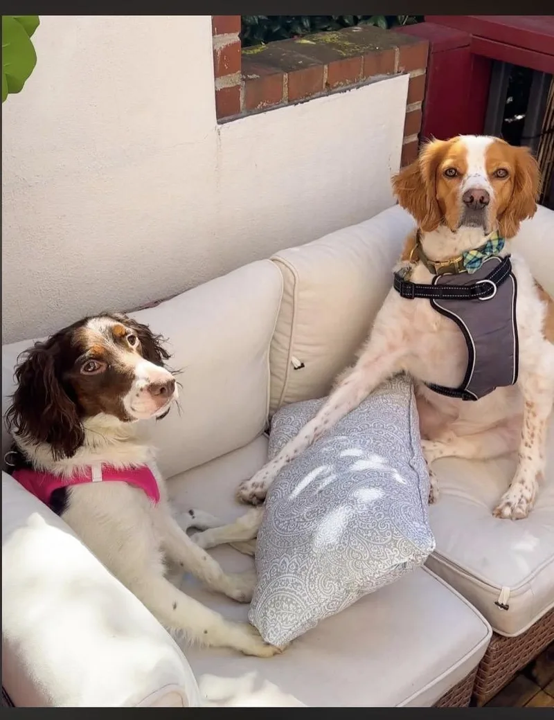 Rainbow Bright thumbnail 4