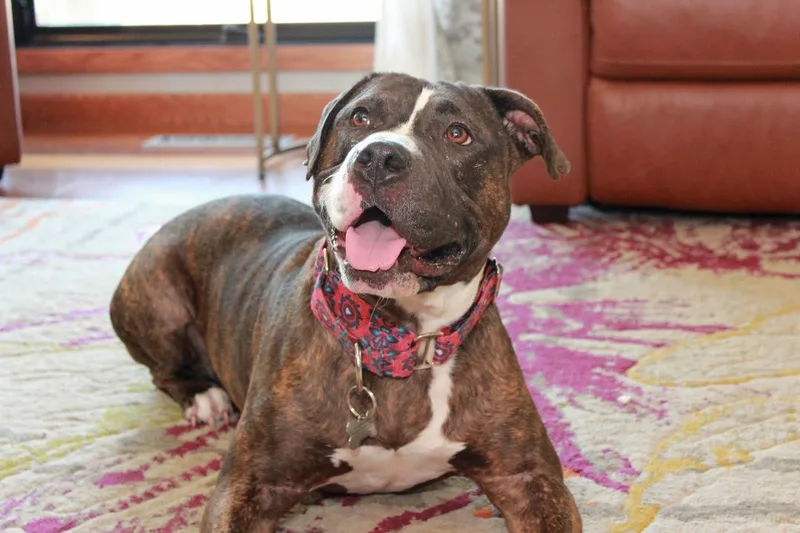 Clementine thumbnail 2