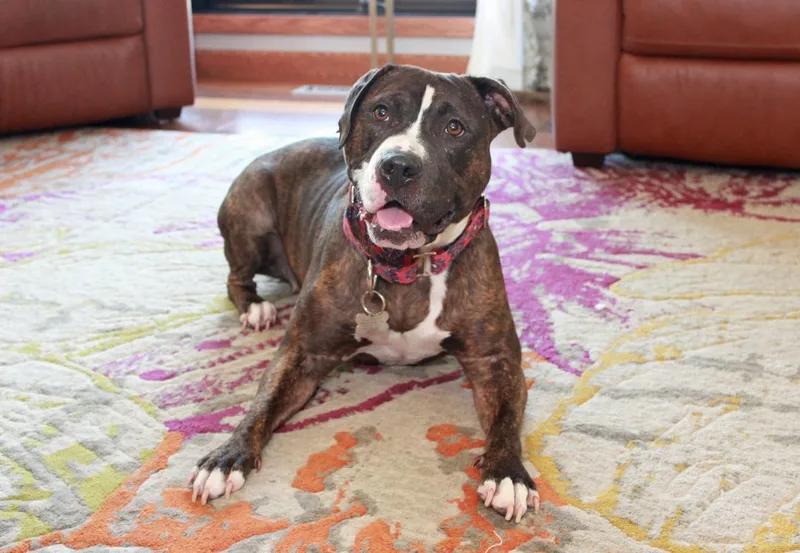 Clementine thumbnail 3