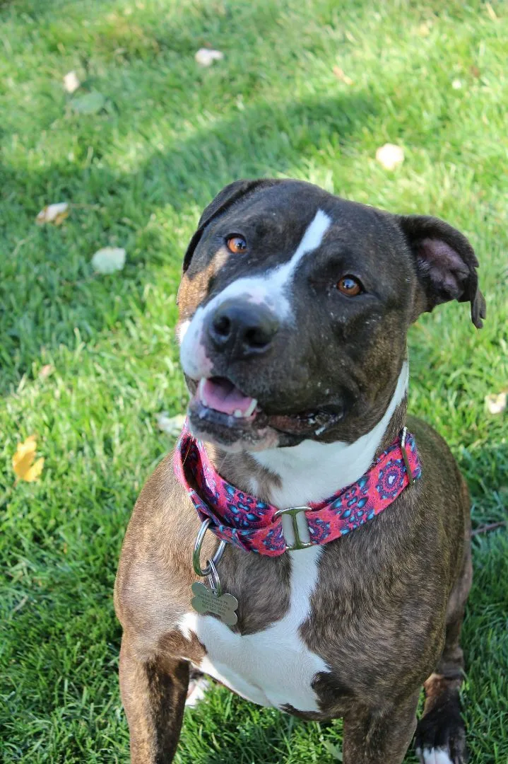 Clementine thumbnail 5