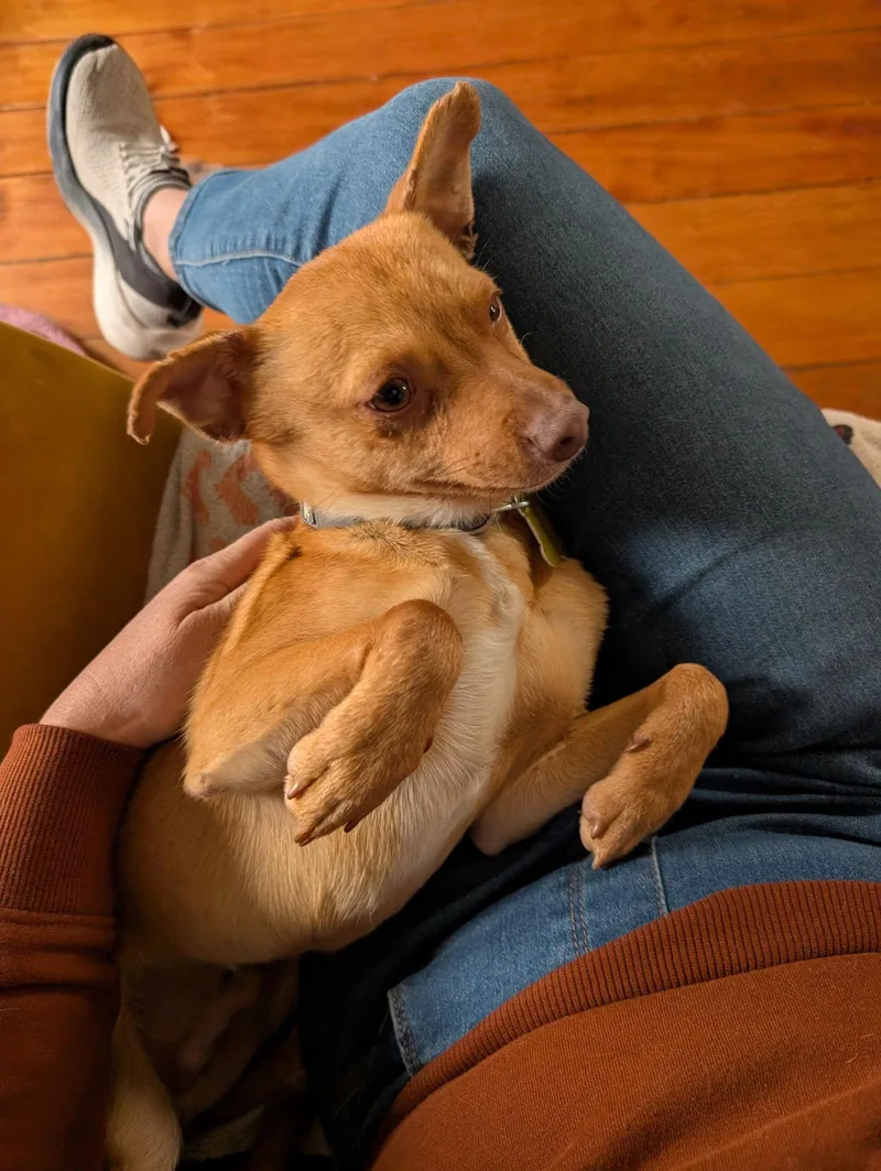 Nathan For You thumbnail 2